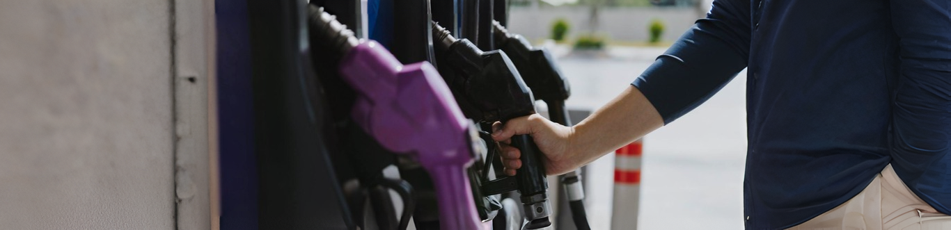 Alternative fuels in the automotive sector