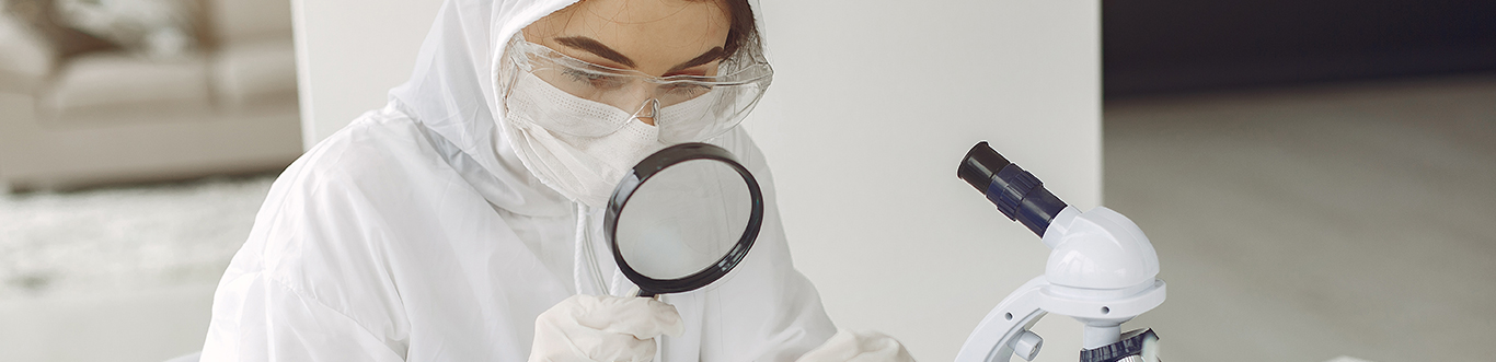 Rapid Research - Novus Insights