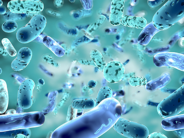 Exploring the Probiotics Market: A Comprehensive Analysis